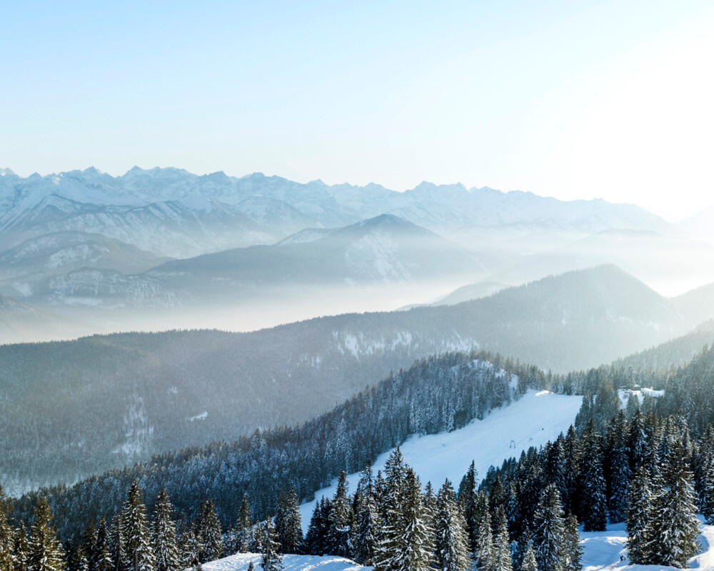 Winter Panorama