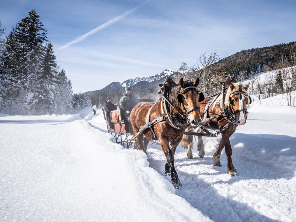 Pferdekutsche in winterlicher Landschaft