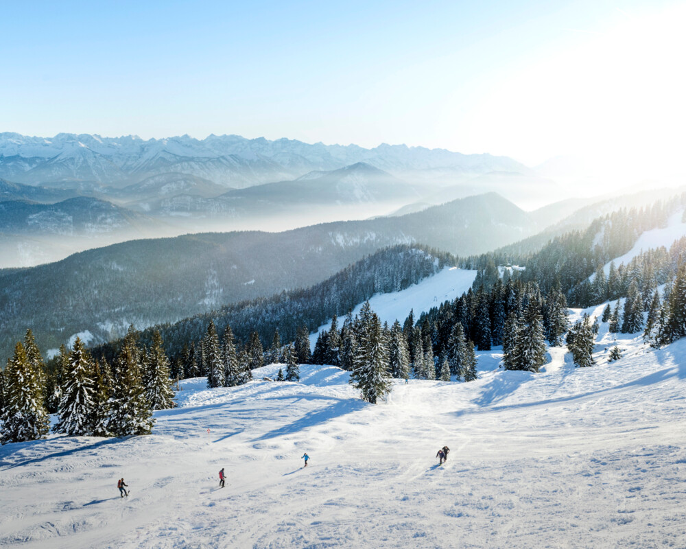 Winter Panorama