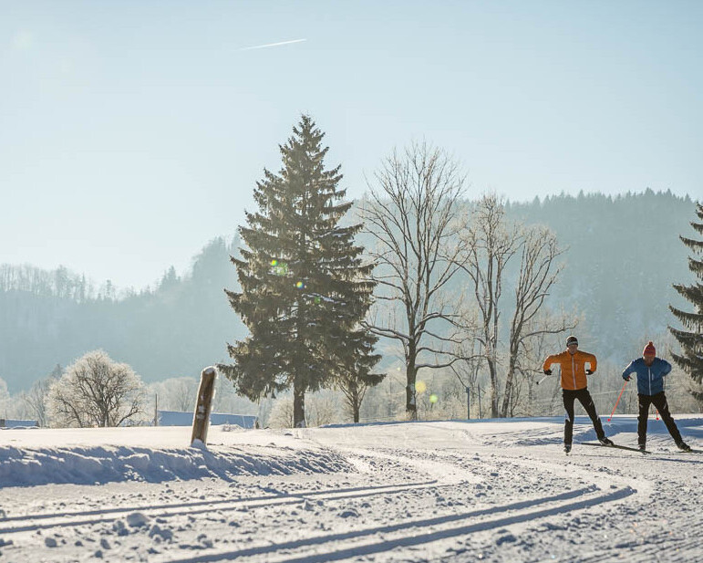 Langlaufen - skating